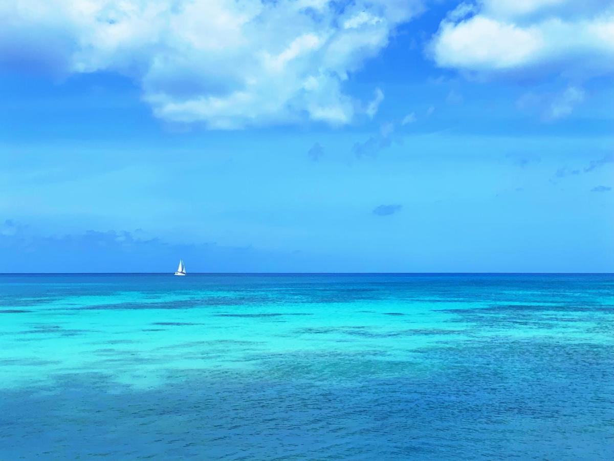 Banyan Beach House Villa بريدج تاون المظهر الخارجي الصورة